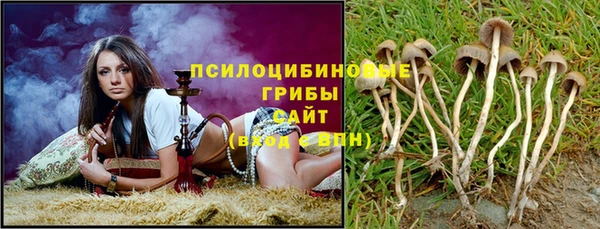 метадон Арсеньев