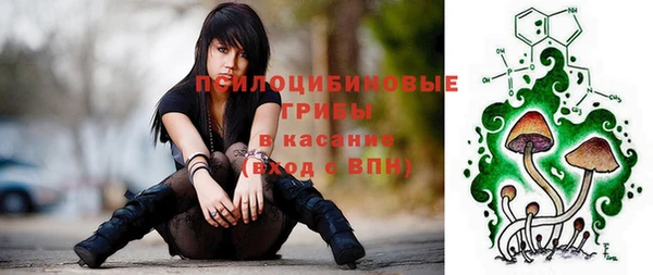метадон Арсеньев