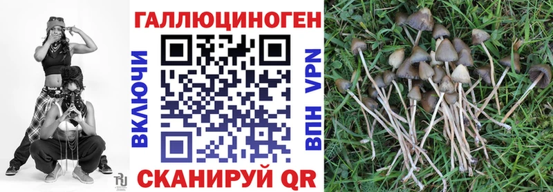 гидра как войти  Усинск  Псилоцибиновые грибы Magic Shrooms 